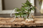 Preview: Schriftzug -personalisiert-